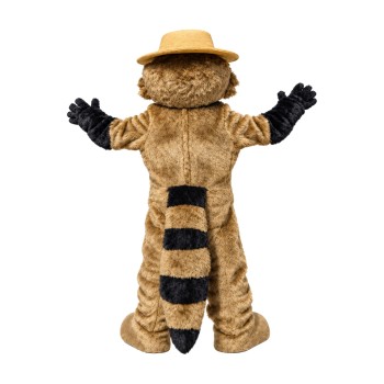 Lovely Lightweight Raccoon Mascot Costume