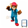 Handsome Bear Mascot Costume