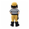 Superb Pirate Mascot Costume