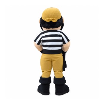Pirate Mascot Costume