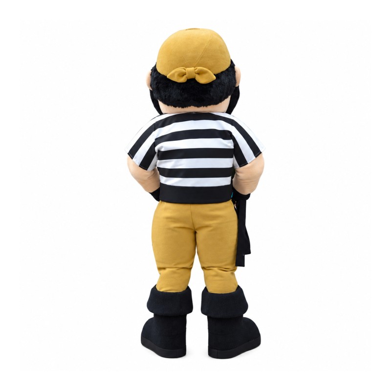 Superb Pirate Mascot Costume
