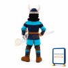 Viking Knight Mascot Costume