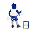 Sport Blue Jay Mascot Costume
