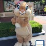 Miss Bunny Mascot Costume