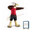 Eagle Mascot Costume