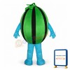 Watermelon Mascot Costume