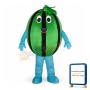 Affordable Watermelon Mascot Costume