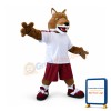 Sport Fox Mascot Costume