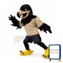 Black Eagle Mascot Costume