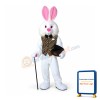 Easter Bunny Mascot Costume