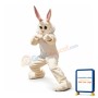 Energetic Bunny Mascot Costume
