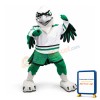 Power College Hawk Mascot Costume