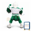 Power College Hawk Mascot Costume
