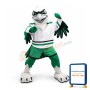 Power College Hawk Mascot Costume
