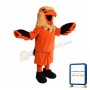 College Sport Hawk Mascot Costume