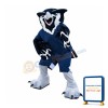 Sport Owl Mascot Costume