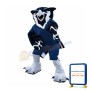 Sport Owl Mascot Costume