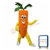 Carrot Mascot Costume