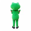 Cartoon Frog Mascot Costume