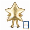 Golden Star Mascot Costume