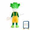 Happy Lightweight Vegetable Mascot Costume