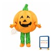 Pumpkin Mascot Costume
