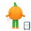 Pumpkin Mascot Costume