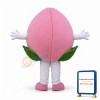 Peach Mascot Costume