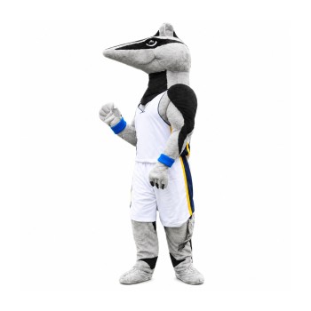 Sport Anteater Mascot Costume