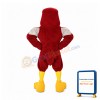 Power Falcon Mascot Costume