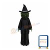 Wicked Witch Mascot Costume