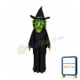Wicked Witch Mascot Costume