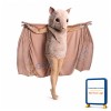 Beige Bat Mascot Costume