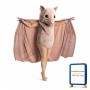 Beige Bat Mascot Costume