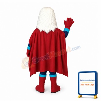 Superhero Eagle Mascot Costume