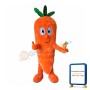 Carrot Mascot Costume