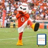University of Miami Hurricanes Mascot Costume