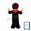 Wizard Mascot Costume