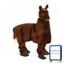 Happy Two Person Horse Mascot Costume