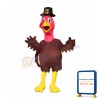 Animal Turkey Mascot Costume