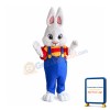 Easter Boy Bunny Mascot Costume