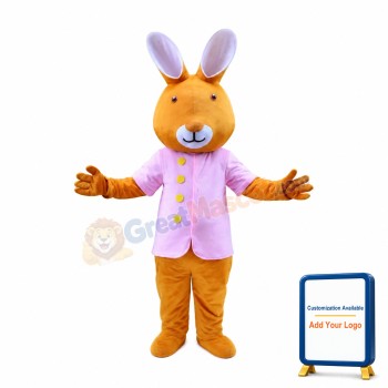 Rabbit Cartoon Mascot Costume