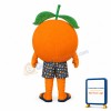 Orange Mascot Costume