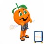 Orange Mascot Costume