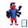 Insect Spider Mascot Costume