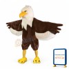 Eagle Mascot Costume