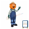 Mr Pumpkin Mascot Costume
