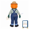 Mr Pumpkin Mascot Costume