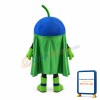 Blueberry Mascot Costume