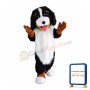 Bernese Mountain Dog Mascot Costume